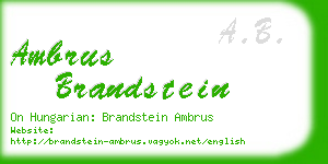 ambrus brandstein business card